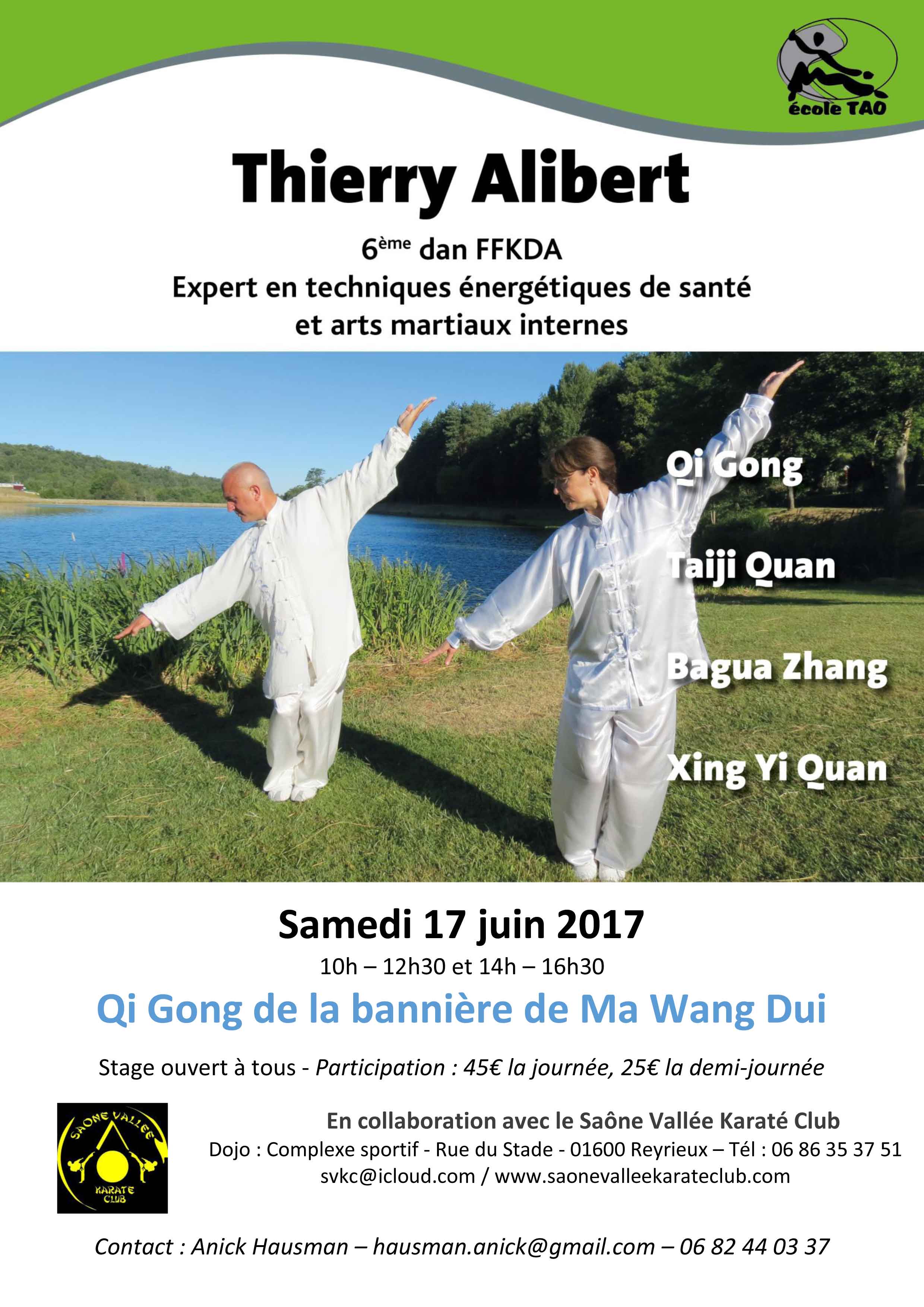 Affiche-TAO-Qi-Gong-Banniere-Reyrieux-17-Juin-2017-1